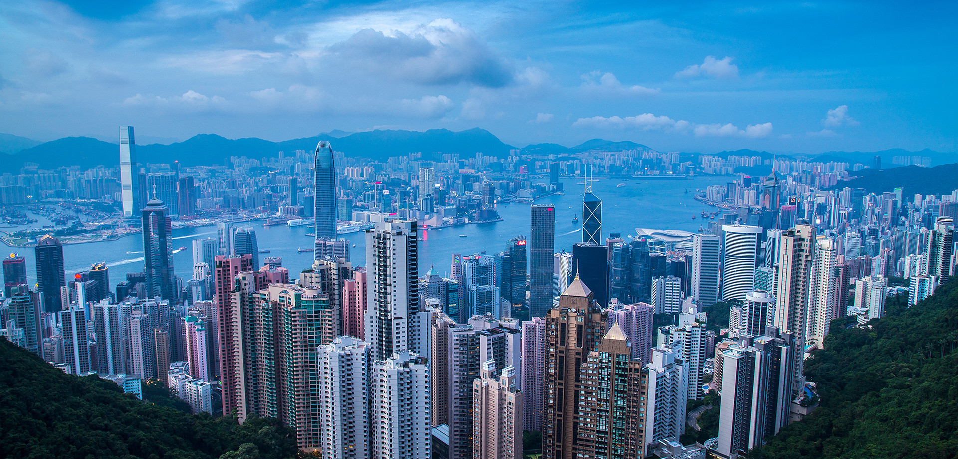 專業的團隊與雄厚的實力
